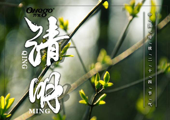 清明時節雨紛紛，萬戈好紙送健康！
