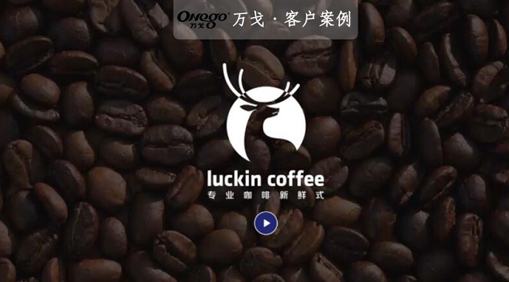 厲害了我的小伙伴！明星級的投入，開50平米小店！